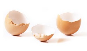 eggshells eggshells