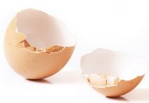 eggshellsx148 eggshellsx148